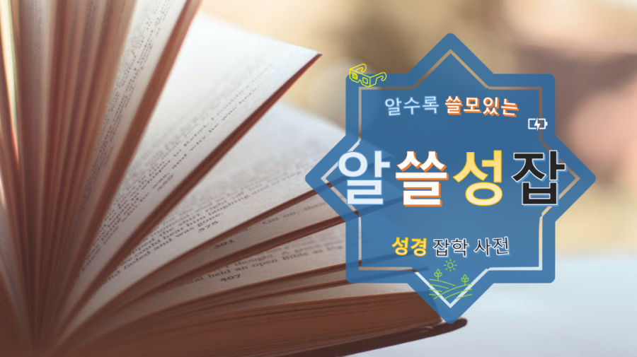 주일 성서 학당 “알쓸성잡”